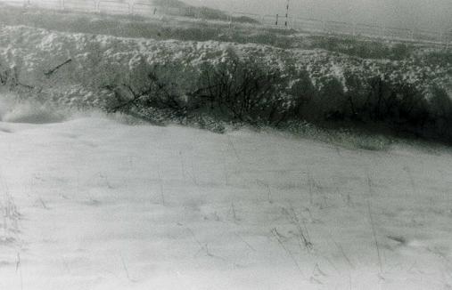 雪の日に_f0036209_932946.jpg
