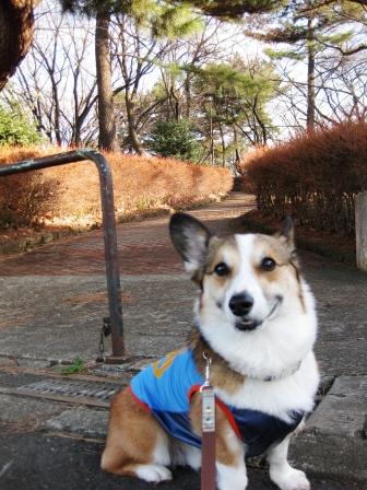 楽しいお散歩~♪_f0155118_7443367.jpg