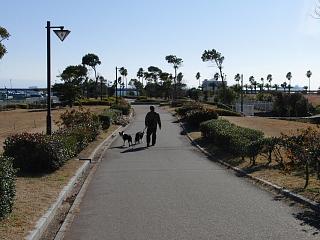 e0179321_17491333.jpg