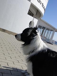 e0179321_17512617.jpg