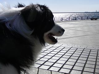 e0179321_17514420.jpg