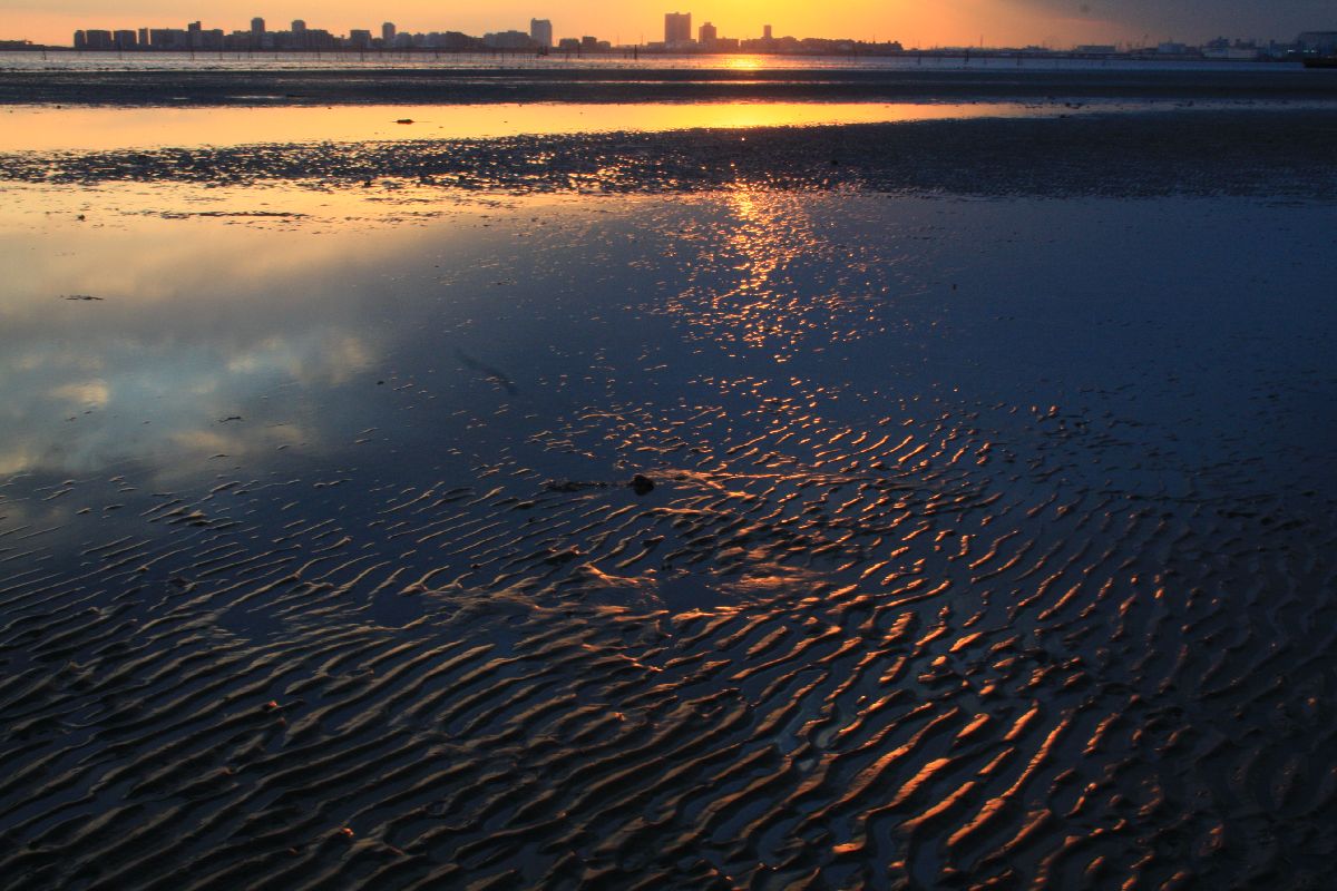 c0104227_0435145.jpg