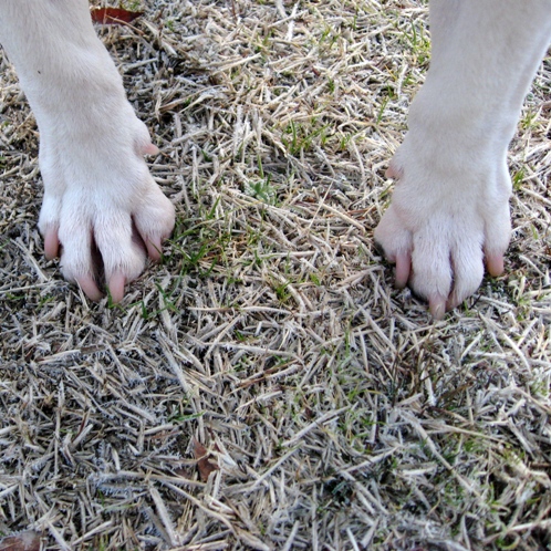 c0192330_11454150.jpg