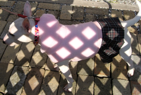 c0192330_11511517.jpg