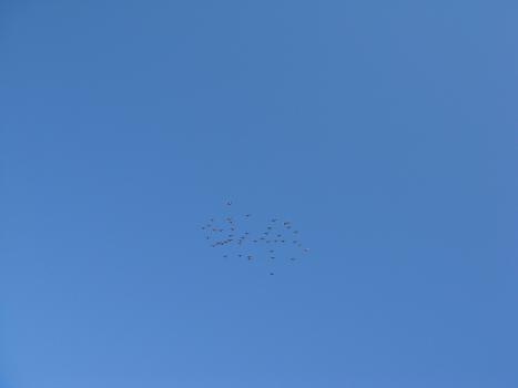 a0014840_1925115.jpg