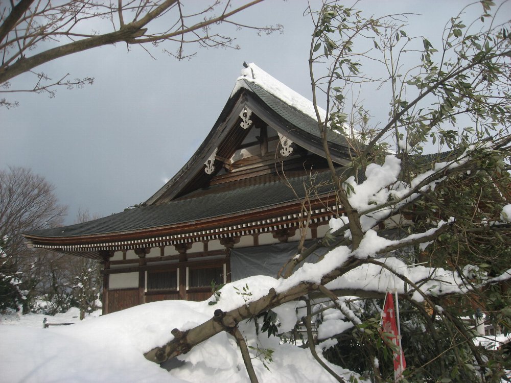 　　　　　　　重い雪_f0134441_8132938.jpg