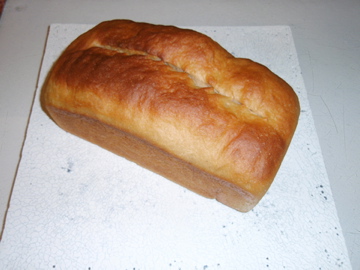 国産小麦のパン_b0132442_17131240.jpg