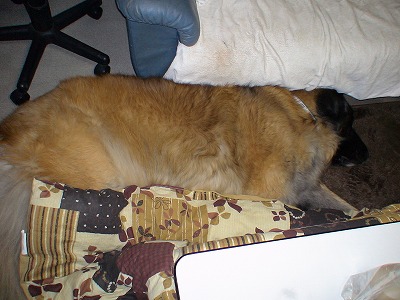 e0023643_2015121.jpg