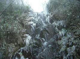 e0164643_10351993.jpg