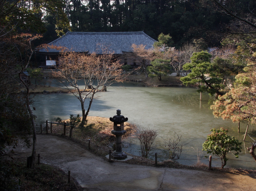 浄瑠璃寺　宝池凍る_c0108146_22231842.jpg