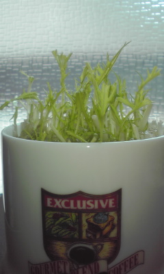 c0179647_9261261.jpg