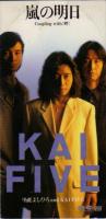 ★★甲斐バンド & KAI FIVE &甲斐よしひろ 全シングル・アルバム_d0022648_1919993.jpg