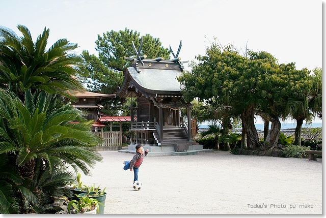 青島神社_a0052156_21105726.jpg