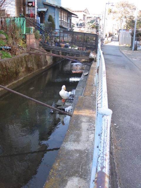 穏やか日曜日_e0189265_14555398.jpg