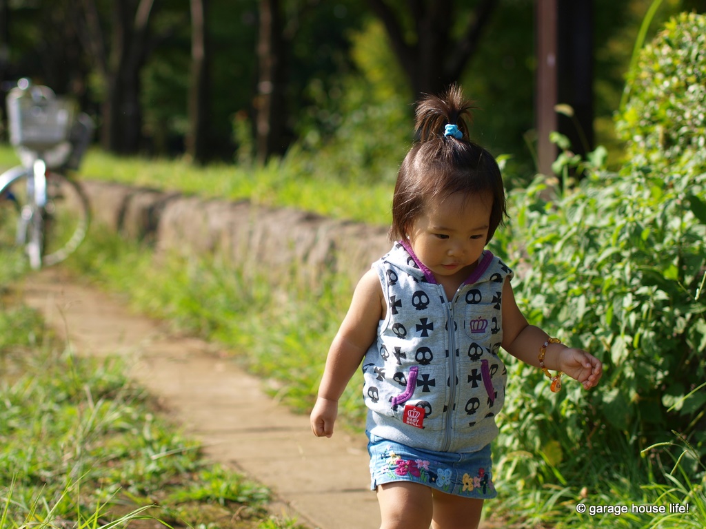 今更ですが・・・、2009年お気に入り写真ベスト10！　その1_b0105871_245389.jpg