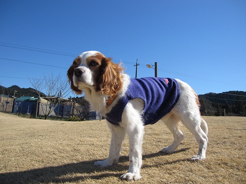 e0121583_2127050.jpg