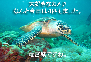 竜宮城~♪_f0144385_451085.jpg