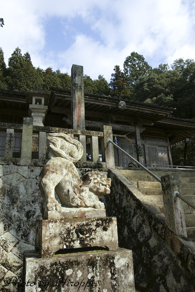 熊野神社_a0143786_19501332.jpg