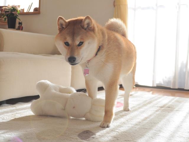 我が家の格言_a0126590_10251782.jpg