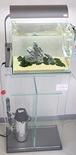 流量の調節_c0203392_17454476.jpg