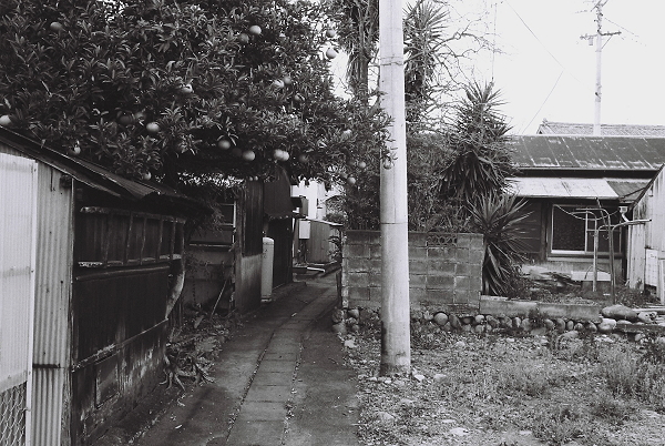 c0214494_196955.jpg