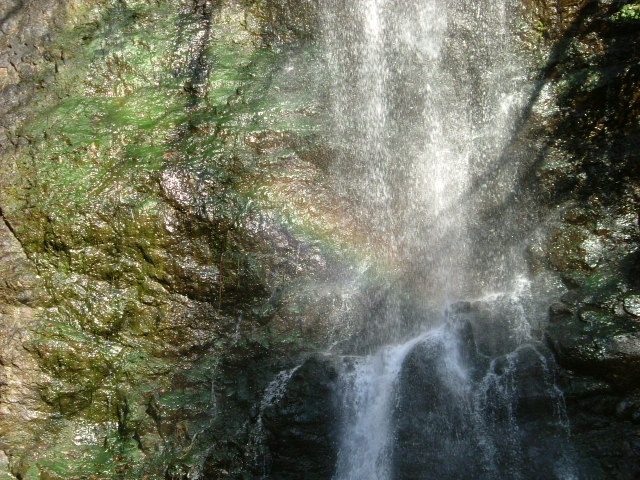 b0044296_22666.jpg