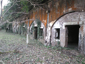 b0174996_1914599.gif