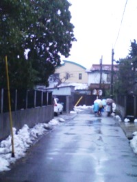 c0218496_2385781.jpg