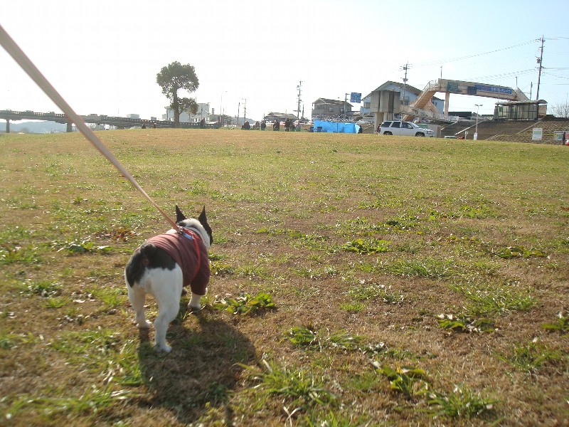 年越し九州ツアー　その７　ＢＵＨＩ新年会・後編_b0128098_16352737.jpg