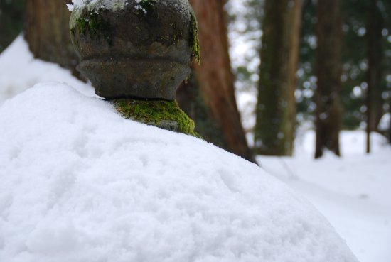 雪の羽黒山で・・・・_c0217898_2214215.jpg