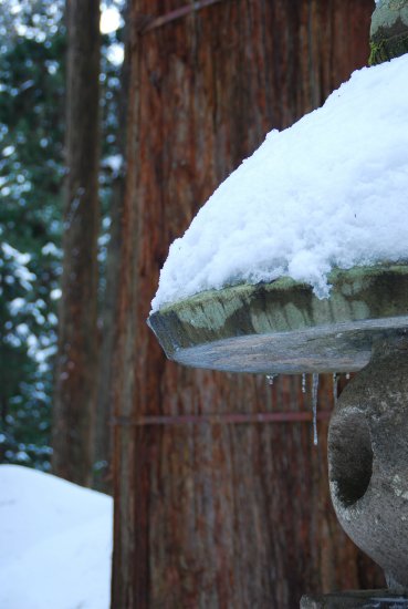 雪の羽黒山で・・・・_c0217898_2231848.jpg