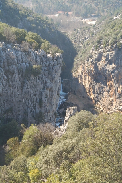 e0061699_17014.jpg