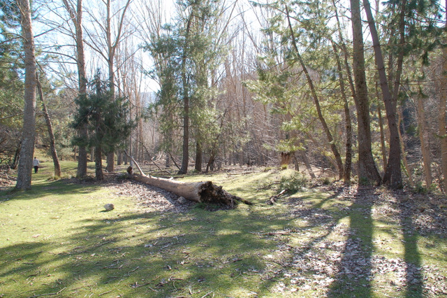 e0061699_17238.jpg