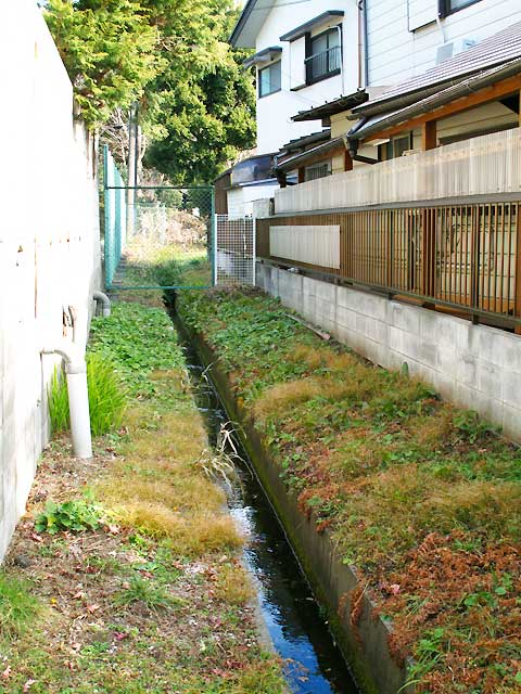 c0163001_09931.jpg