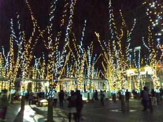 a0037703_0285230.jpg
