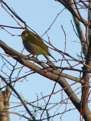 a0123003_17565961.jpg