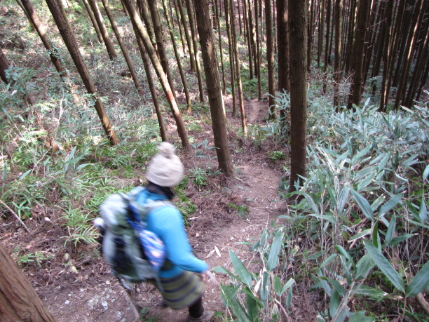 毎日やまのぼり山。　吾妻山_b0116703_20193572.jpg