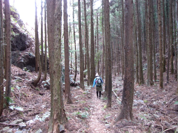 毎日やまのぼり山。　吾妻山_b0116703_20195075.jpg