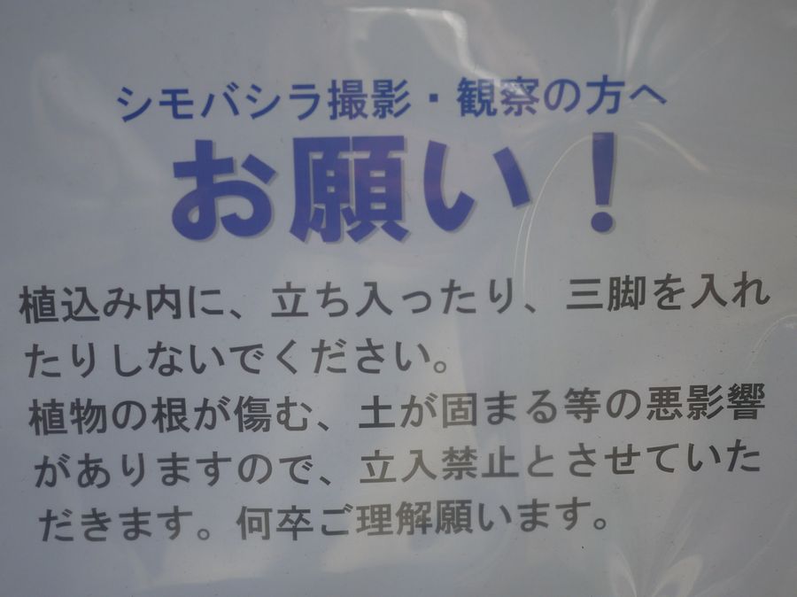 c0187503_2131299.jpg
