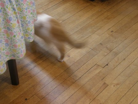 f0036603_9441471.jpg