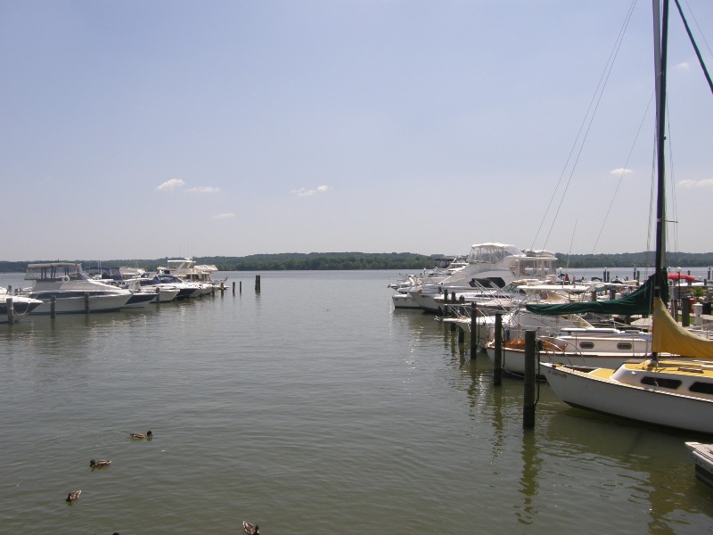 f0036603_949547.jpg
