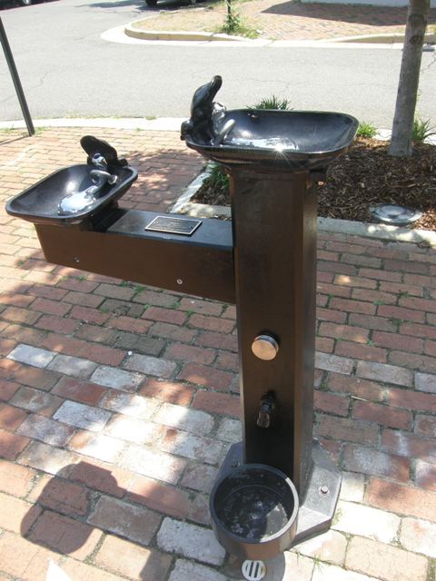 f0036603_958349.jpg