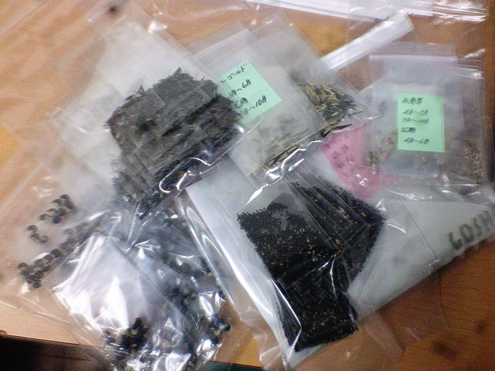 c0143106_1131247.jpg