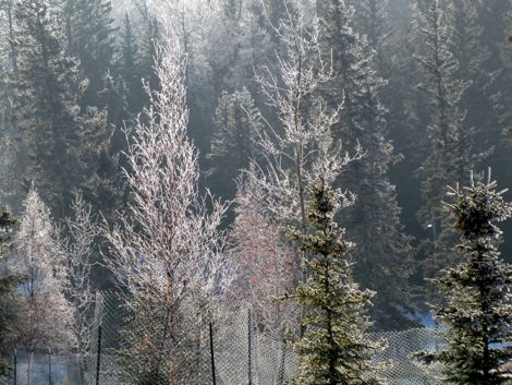 b0051109_28416.jpg
