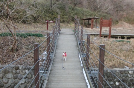 e0078510_23215936.jpg