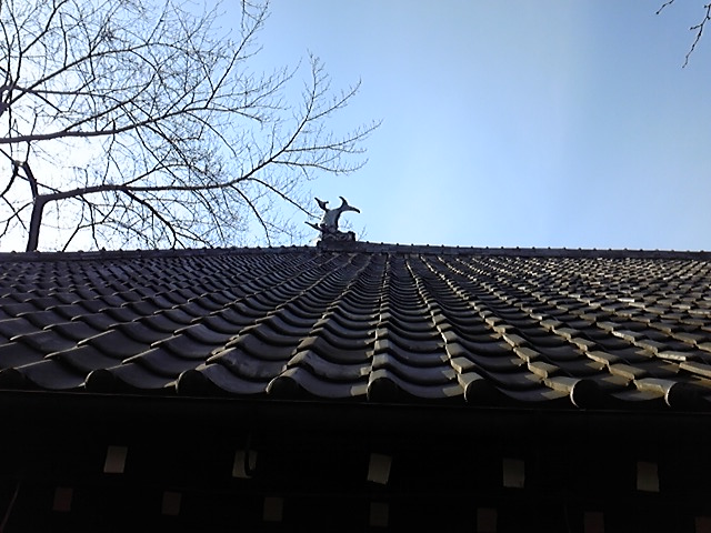 d0094512_22415371.jpg