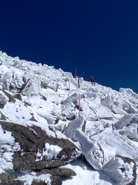 c0177814_1737327.jpg