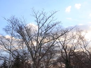 c0204725_23253372.jpg