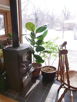 c0204725_2326151.jpg