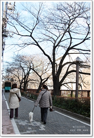 コロンくんと行く♪_e0191026_20225592.jpg